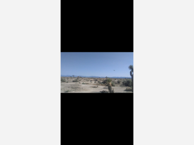 Suspect plays hide and seek with deputies