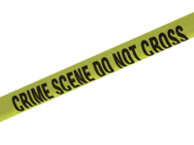 17 year old being sought after stabbing mother and pouring bleach on her