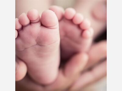 U.S. Border Patrol Now Delivers!! 