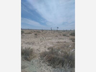 (Updated)Tragic Accident Leaves One Woman Dead